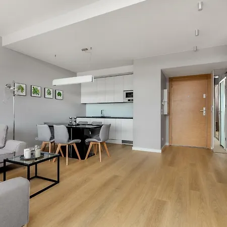 Frey Homes Waterline With Amazing Pool And Gym Apartment